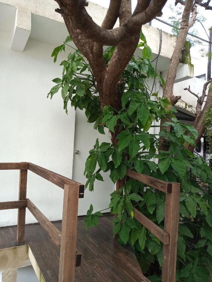 Estudio Zona Centro Cerca De La Terminal Ado Cancún Esterno foto