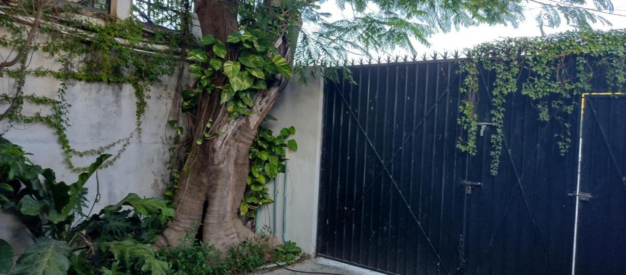 Estudio Zona Centro Cerca De La Terminal Ado Cancún Esterno foto